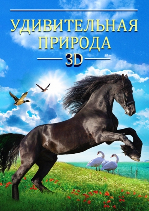 Документальные фильмы онлайн