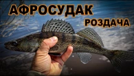 Роздача судака в центрі Києва! Судак на Дніпрі