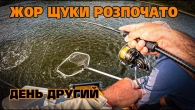 КЛЮЧ від ДЕСНИ! Жор ЩУКИ у вересні набирає оберти