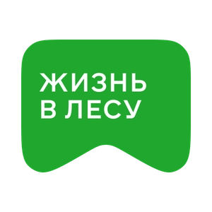 [M] Жизнь в лесу (playlist)