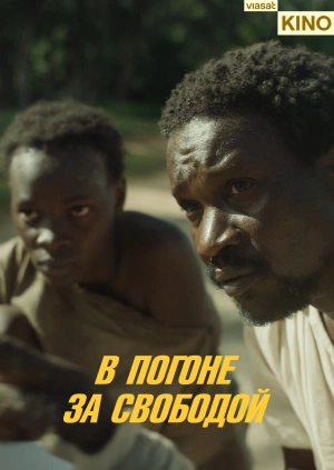 В погоне за свободой