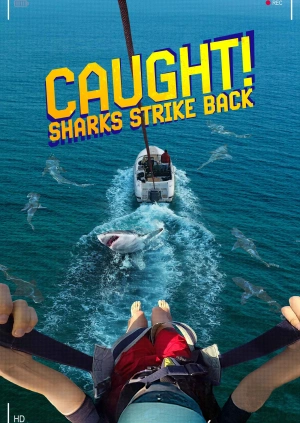 Caught! Sharks Strike Back