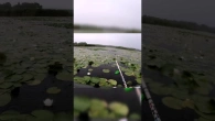 Ловлю карасей на поплавок в проливной дождь