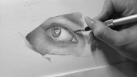 how to draw realistic eyes with pencil . real time