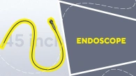 Endoscope