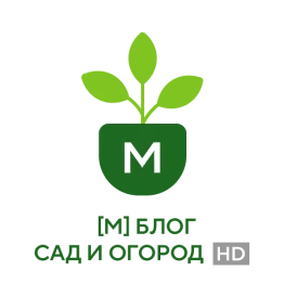 Блог Сад и огород