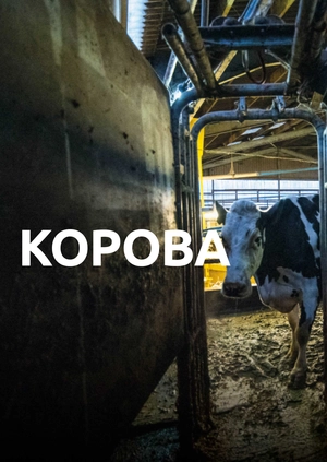 Корова