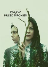 Zdążyć przed zmrokiem — plakat