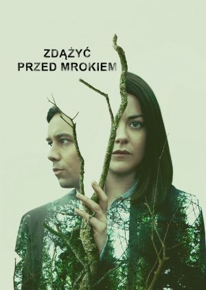 Zdążyć przed zmrokiem — plakat