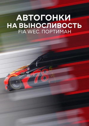 Автогонки на выносливость. FIA WEC. Портиман