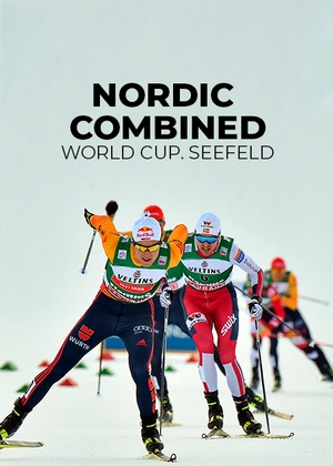 Nordic Combined World Cup. Seefeld