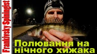 Полювання на нічного хижака: судак на гачку!