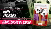 Fatal para os cachorros, essencial para o carro: o que é o etilenoglicol?