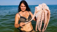 Гигантский Морской Осьминог для прекрасного ужина! Морское блюдо для ценителей