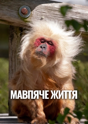 Мавпяче життя