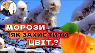 РЯТУЄМО Сад від ЗАМОРОЗКІВ: Ефективні Методи Захисту від Весняних Заморозків ️