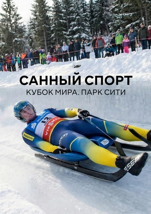 Санный спорт. Кубок мира. Парк Сити