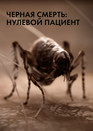 Черная смерть: нулевой пациент
