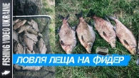 ЛОВЛЯ ЛЕЩА НА ФИДЕР | ОТКРЫТИЕ СЕЗОНА 2023 | @FVU #фидернаярыбалка #feederfishing #feeder #фидер