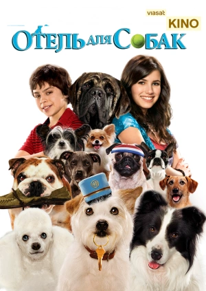 Отель для собак