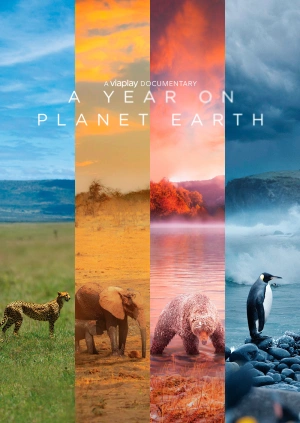 Рік на планеті Земля