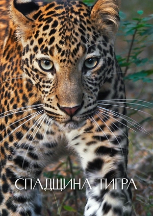 Спадщина тигра