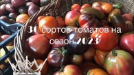 Обзор томатных новинок на сезон 2023.