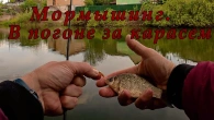 Мормышинг. В погоне за карасем