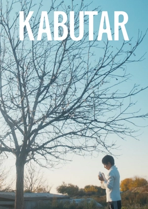 Kabutar