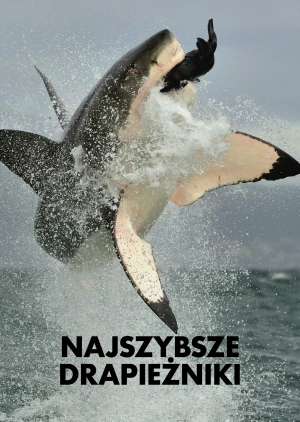 Najszybsze drapieżniki