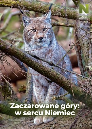 Zaczarowane góry: w sercu Niemiec — plakat