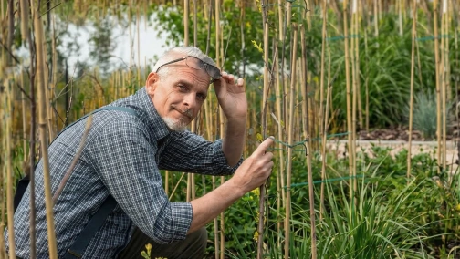 Розмножуємо рододендрон за 10 хвилин / Ігор Білевич