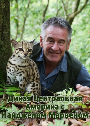 Дикая Центральная Америка с Найджелом Марвеном