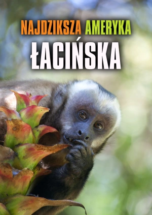 Najdziksza Ameryka Łacińska