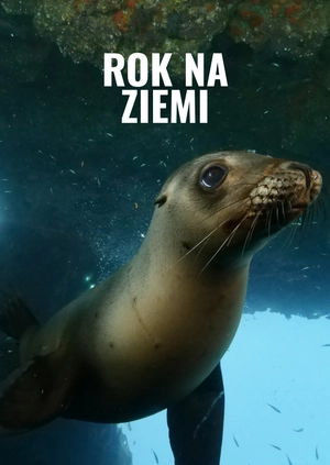 Rok na Ziemi