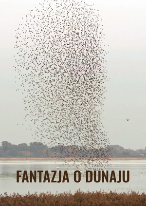Fantazja o Dunaju