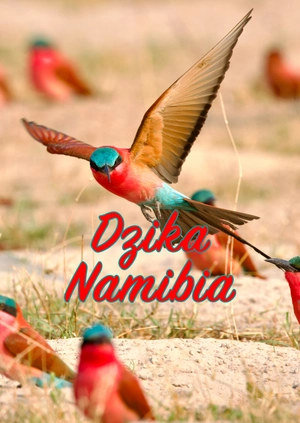 Dzika Namibia