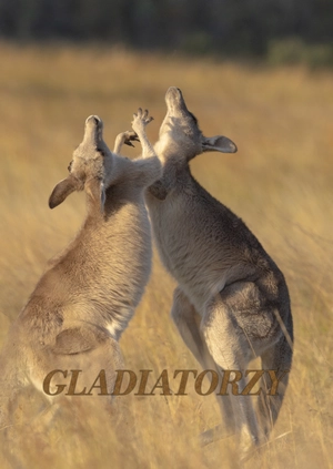 Gladiatorzy