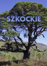 Szkockie sosny — plakat