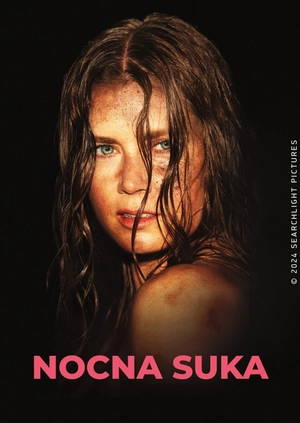 Nocna suka