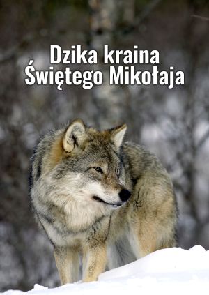 Dzika kraina Świętego Mikołaja — plakat