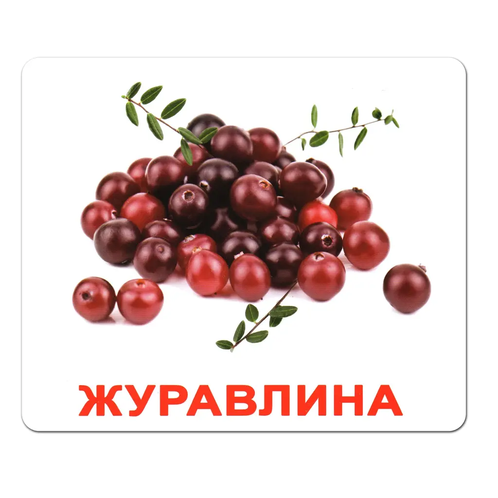 Обкладинка "Ламіновані картки Домана «Ягоди»"