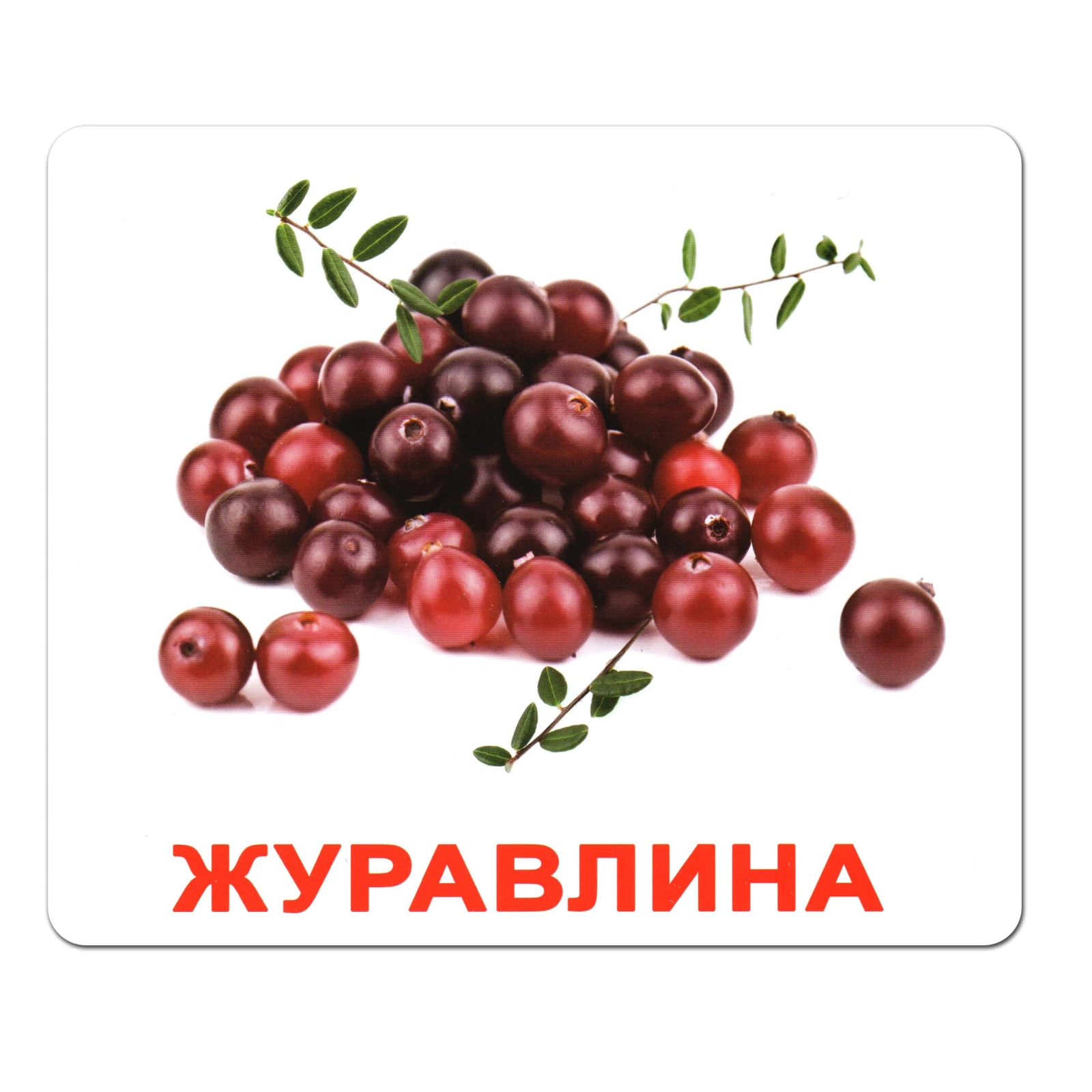 Ламіновані картки Домана «Ягоди»