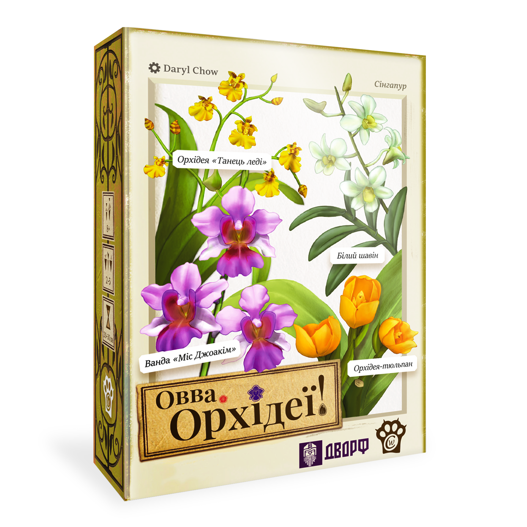ОВВА. Орхідеї!