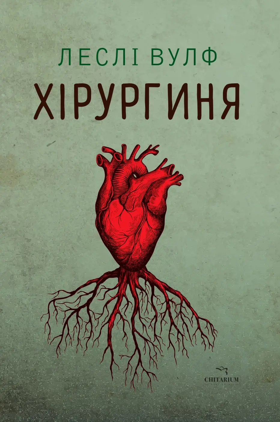 Хірургиня