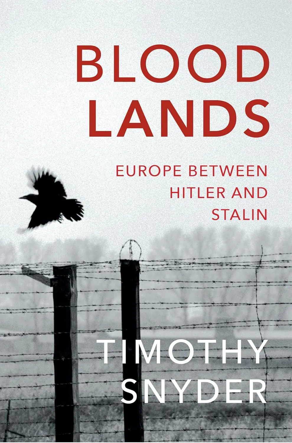Обкладинка "Bloodlands: Europe Between Hitler and Stalin"