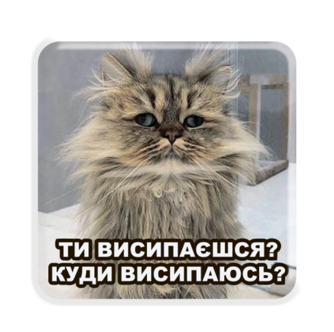 3D стікер «Сонний кіт»