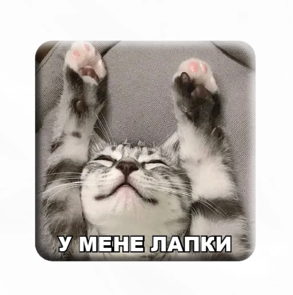 Обкладинка "3D стікер «У мене лапки»"