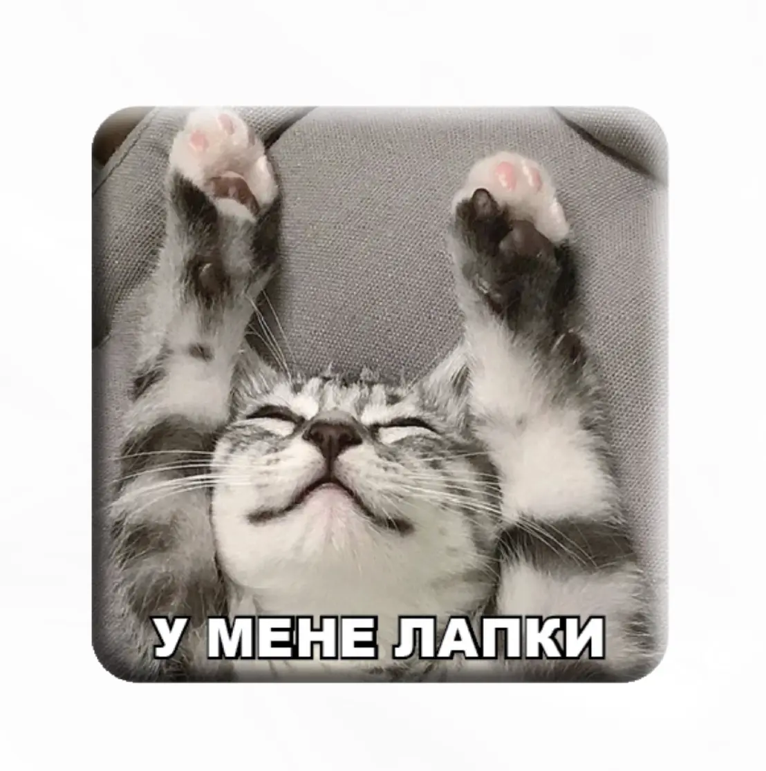 3D стікер «У мене лапки»