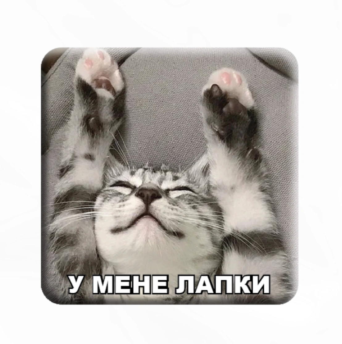 3D стікер «У мене лапки»